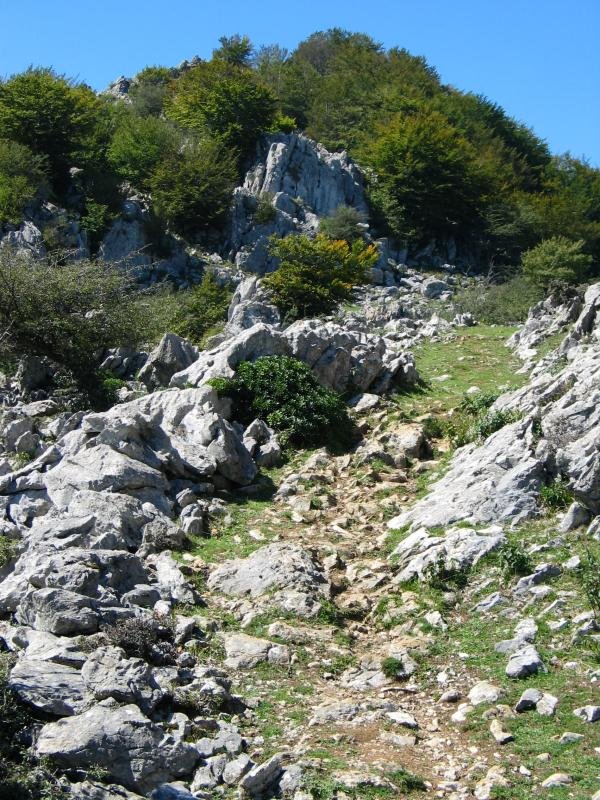 Ekialdeko bideko pasarte bat