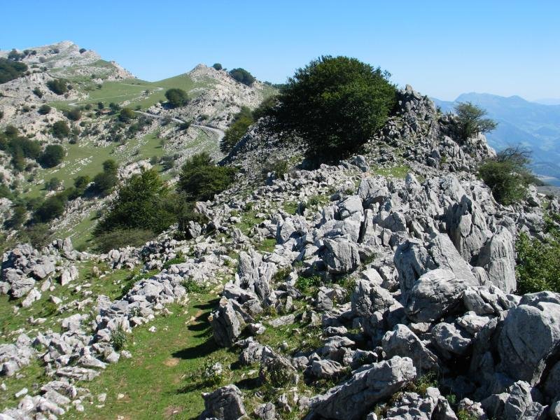 Ekialdeko bideko pasarte bat, Erlo hondoan duela