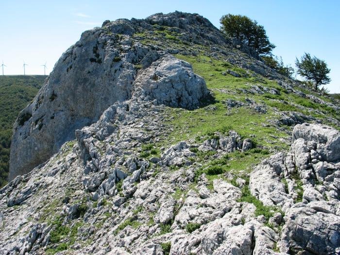 Tontorraren inguruak Iparraldetik