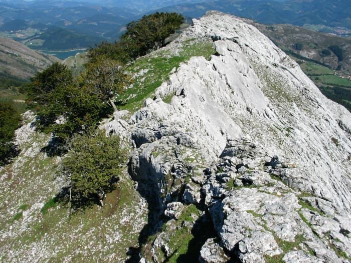 Tontorretik Iparraldera luzatzen den gandorra