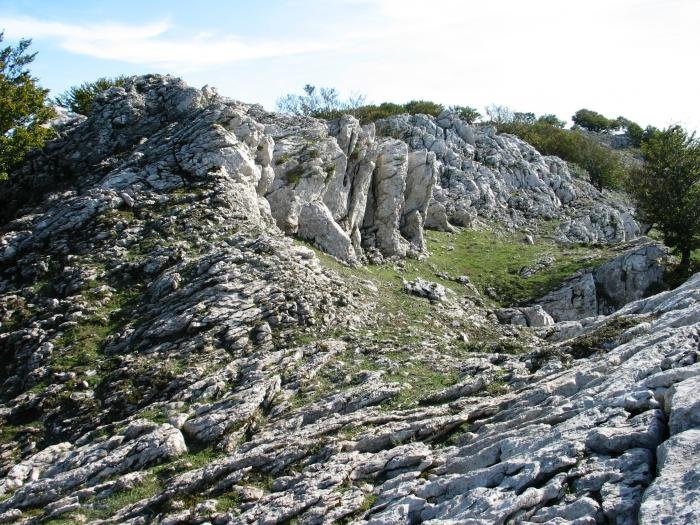 Iparraldeko gandorreko ikuspegia