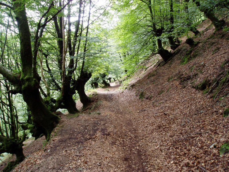 Bidea ipar-mendebaldeko magaleko pagadian zehar