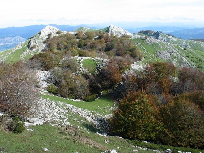 Alborta inguruak, HEan