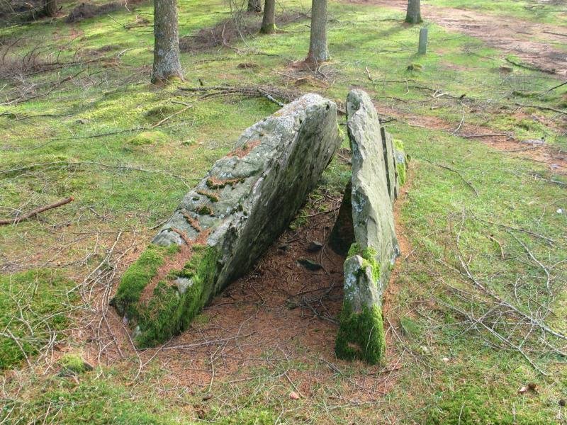 Belabieta Txikiko trikuharria