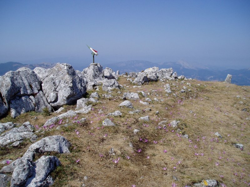 Kurtzezarren tontorra