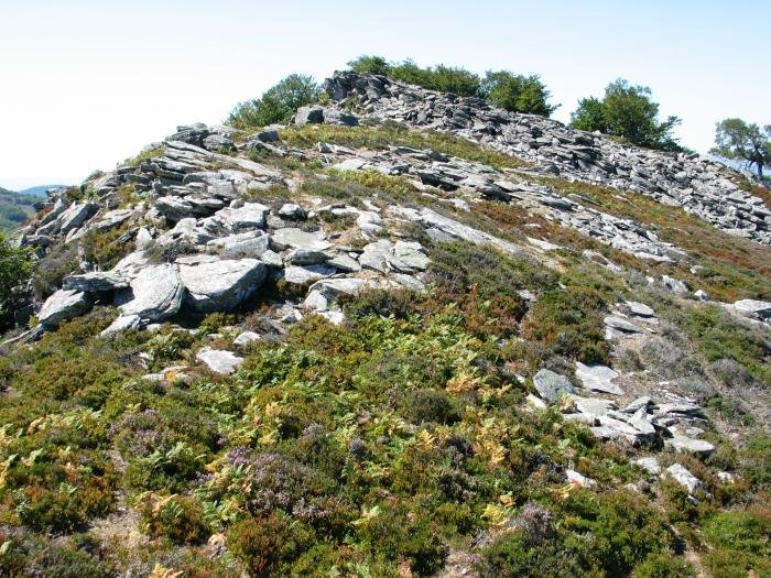 Tontorra Iparraldeko bizkarretik