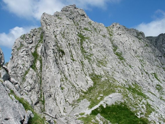 Ekialdeko gandorreko beste mutur bat