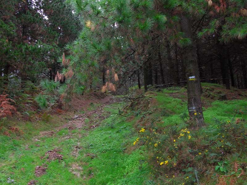 Las marcas nos gu?an desde el comienzo.