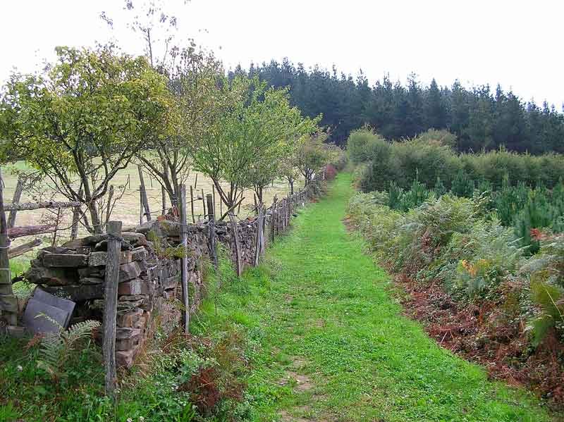 Dejamos atr?s los caser?os.