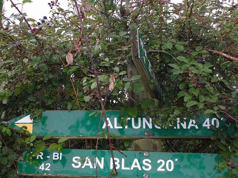 Las indicaciones a seguir.