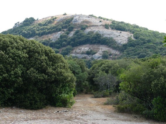Armikelo aldetik ikusita