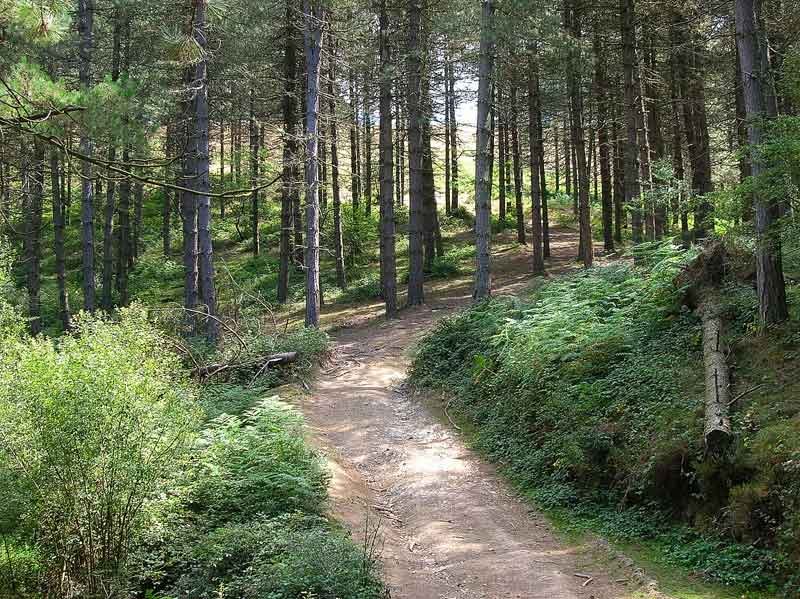Una vez dejado atr?s el Bastelarra nos dirigimos al Eneabe.