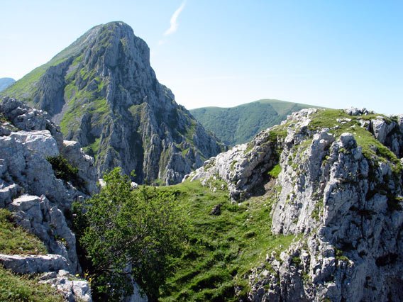 Tontorra, Alluitz hondoan duela