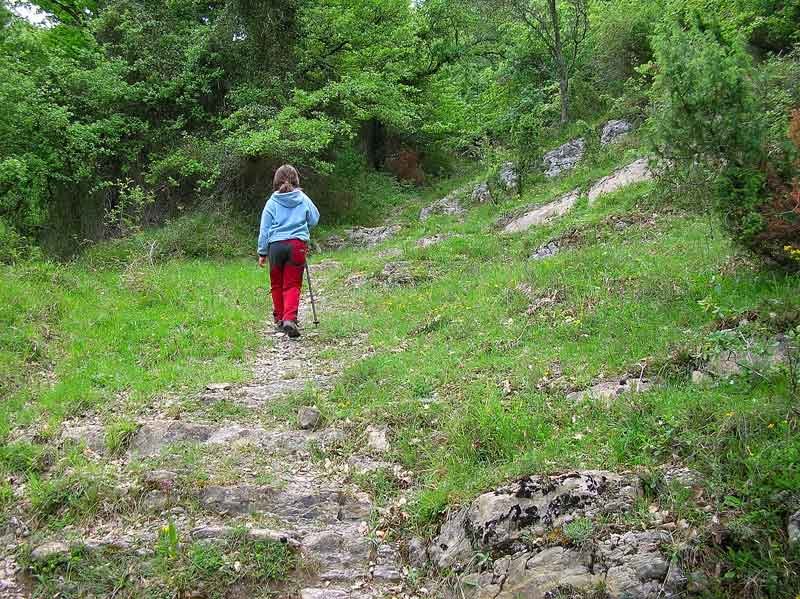 Dejamos la pista para internarnos por un sendero.