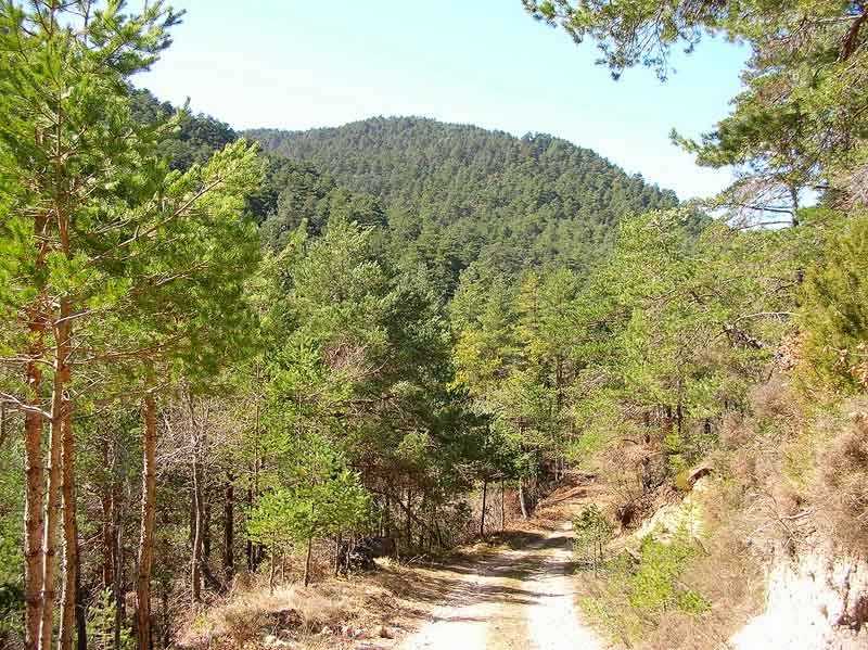 Por ultimo dejamos atr?s la cima de Costoria.