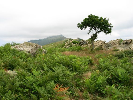 Gainaldeko pasarte bat, Mko bizkarrean