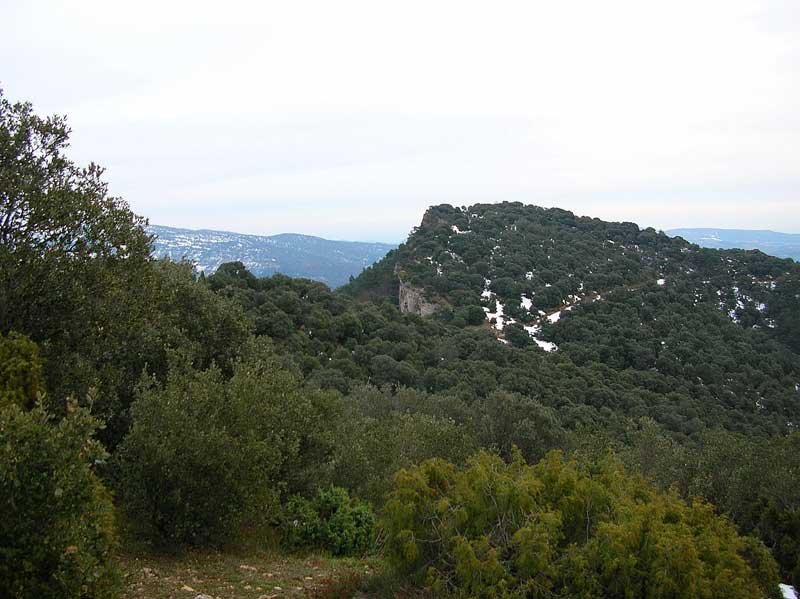 Amano izquierda desde el collado la peña de San Andres.