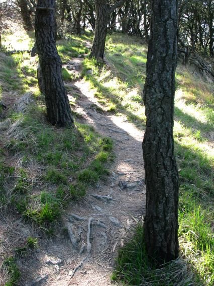 Lekeitio aldeko bidea tontorrera heltzen