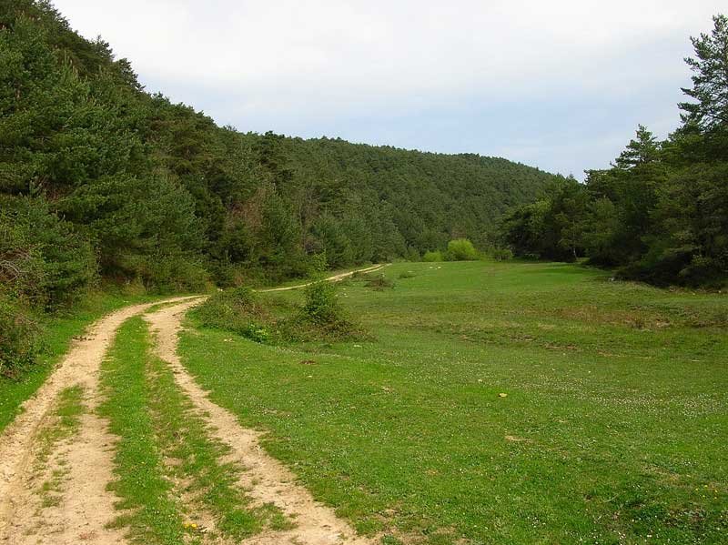 Caminamos por el precioso valle.
