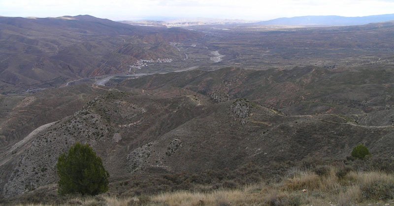 Vega del rio Cidacos
