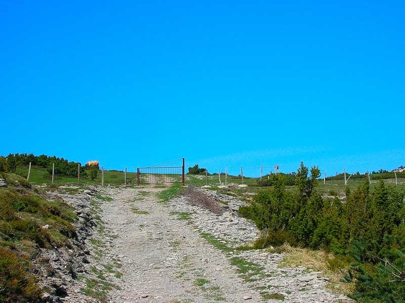 Portillo de Melania.