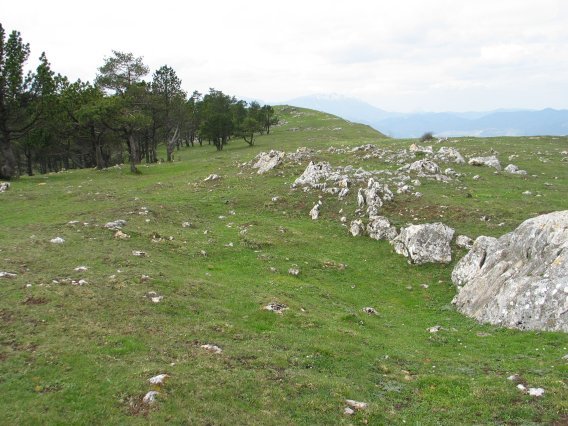 Tontorraren inguruak