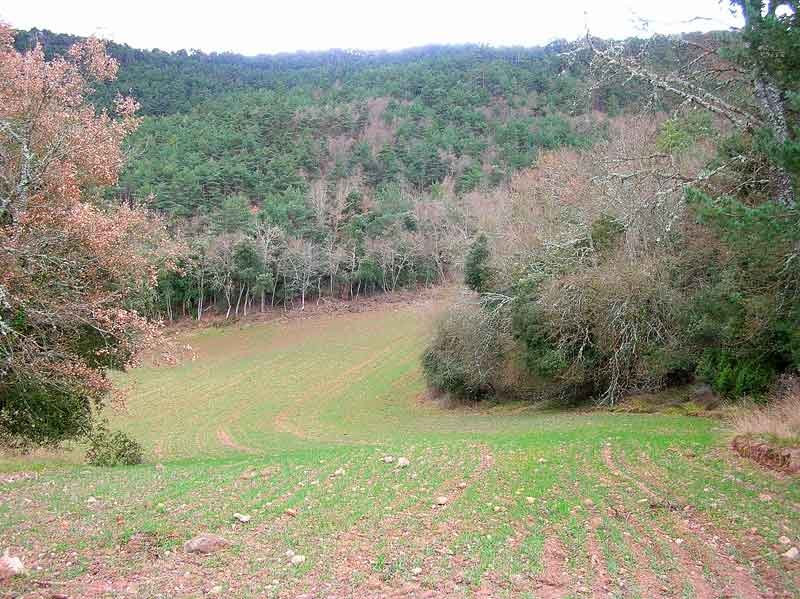 Paisaje en la ascensi?n.