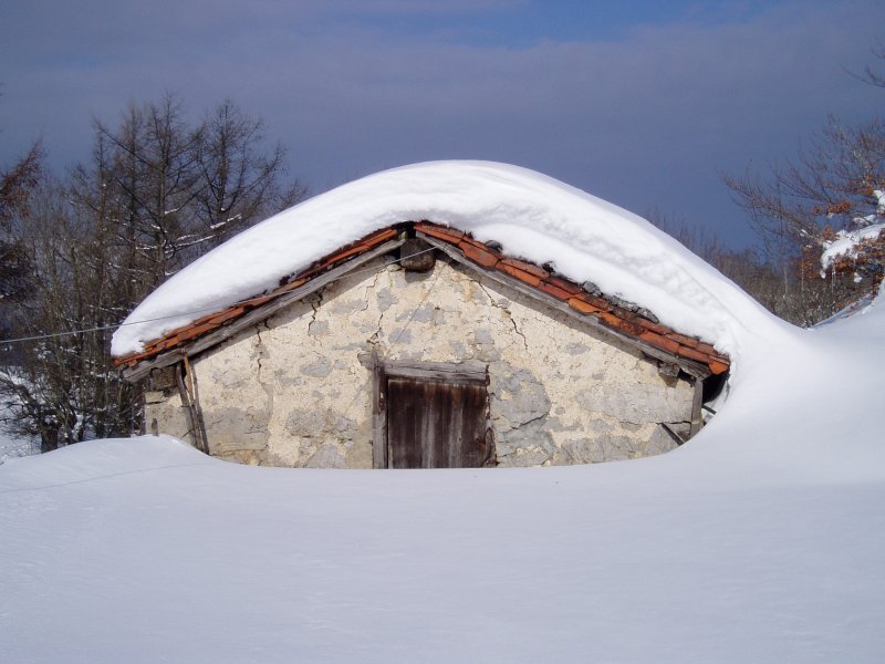 Duruko artzai txabola bat