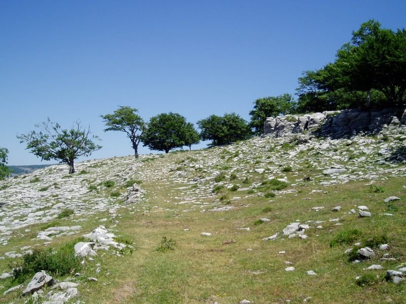 Anguloko portutik igotzen den bidea