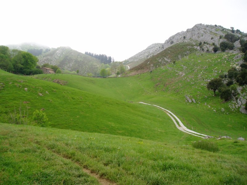 Markinatik igotzen den bideak zeharkatzen dituen larreak