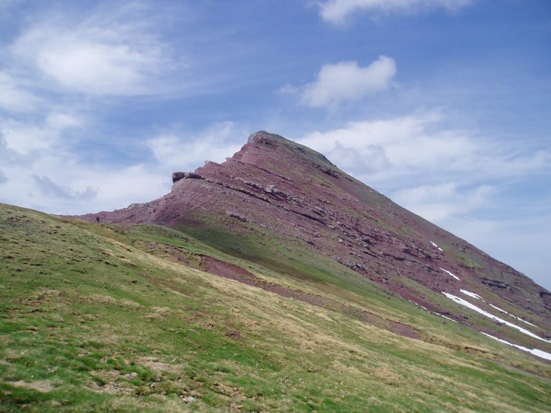 Rojo lepotik ikusita