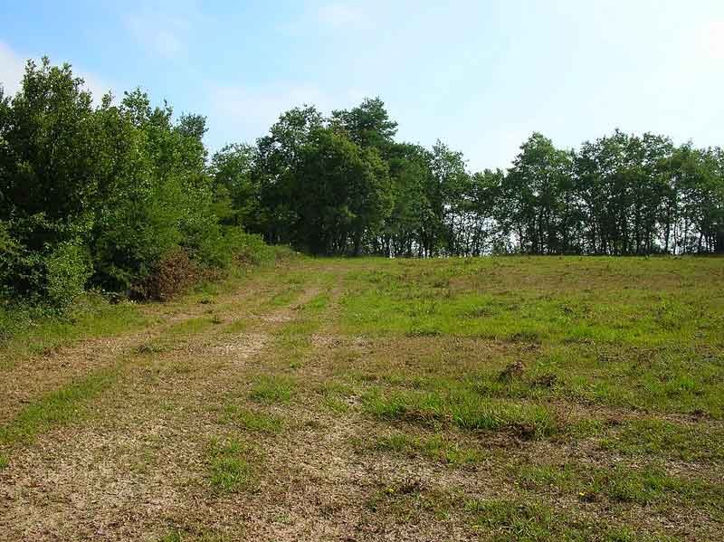 Arriba a la izquierda se coje el sendero cimero.