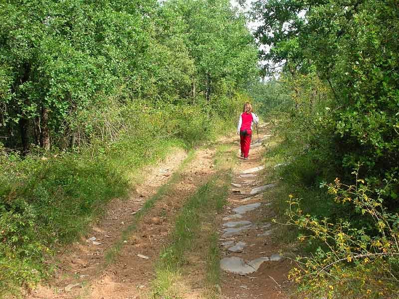 El ascenso apenas tiene desnivel.