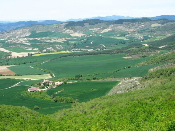 Gongora, Aranguren aldean