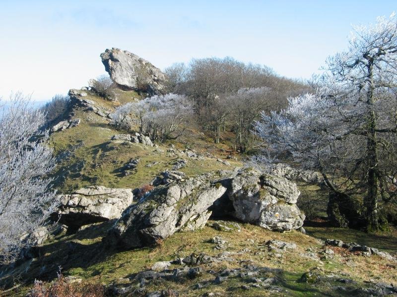 Ekialdeko gandorreko pasarte bat