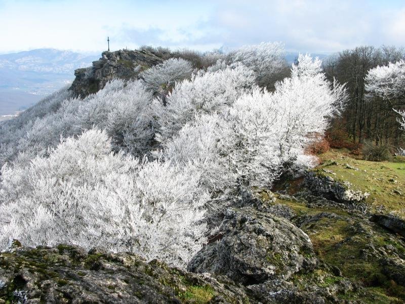 Izoztutako basoa, tontorraren inguruan