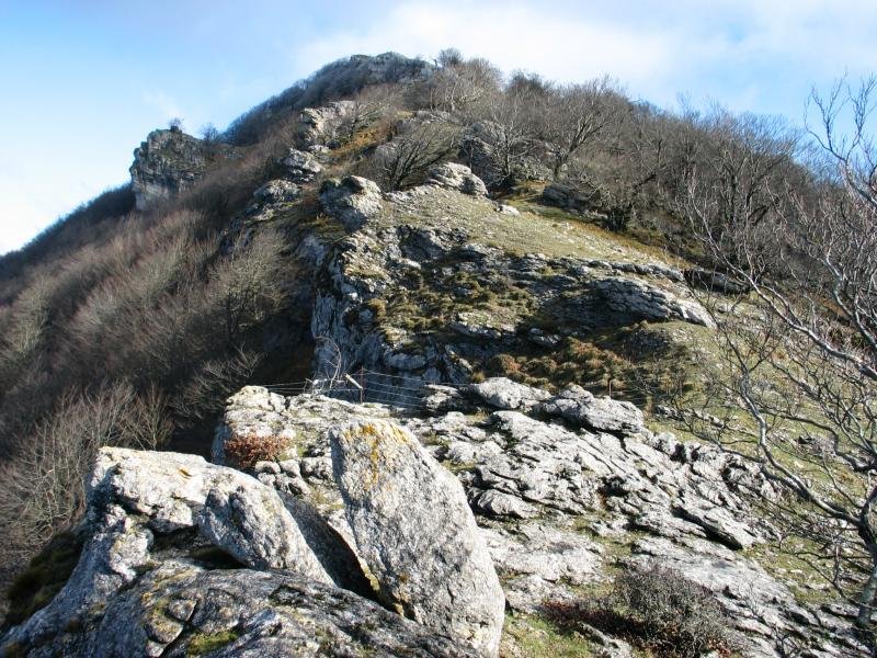 Mendebaldeko bizkarra