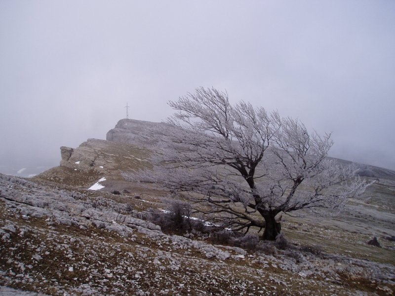 Mirutegi hegoaldetik ikusita