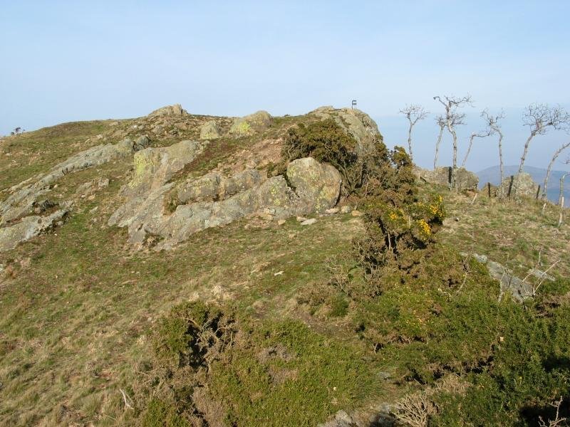 Tontorra eta ingurua