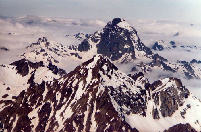 Frondellatik ikusita