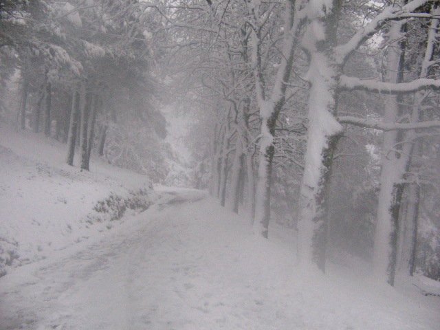 pagasarriko zelaira heltzen