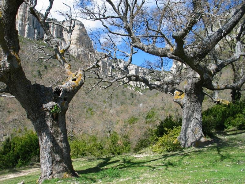 Arte mardulak Ganuza aldeko igoeran