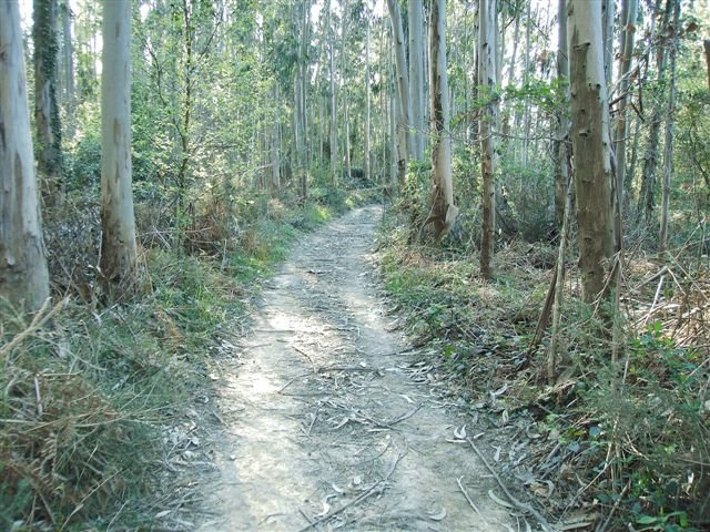 Camino por el cordal entre Berrreaga y Gaztelumendi