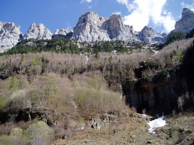 Ordesa bailarara erakusten dituen hormak