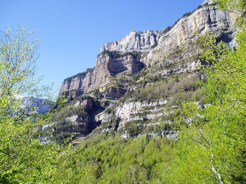 Hego-mendebaldeko hormak