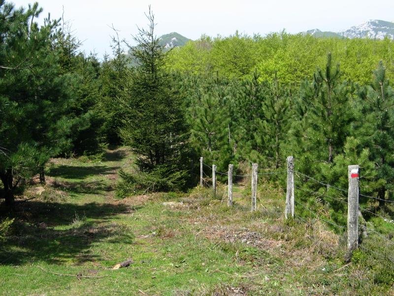 Umandia aldera abiatzen den bidea