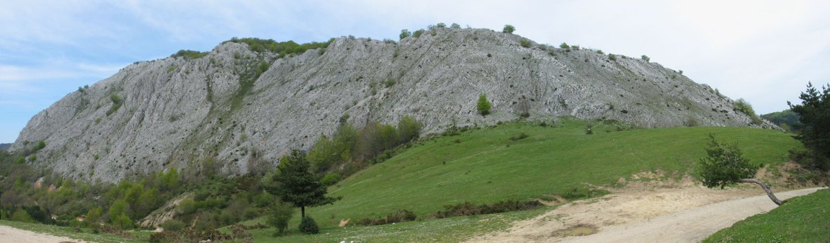 HEko lepotik ikusita