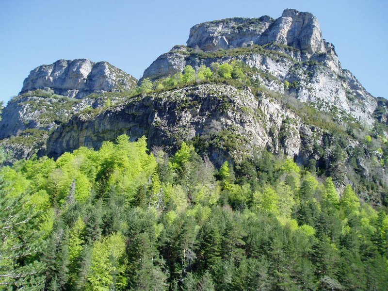 Selva Planako behatokitik arroilaren beste aldeko hormen ikuspegia