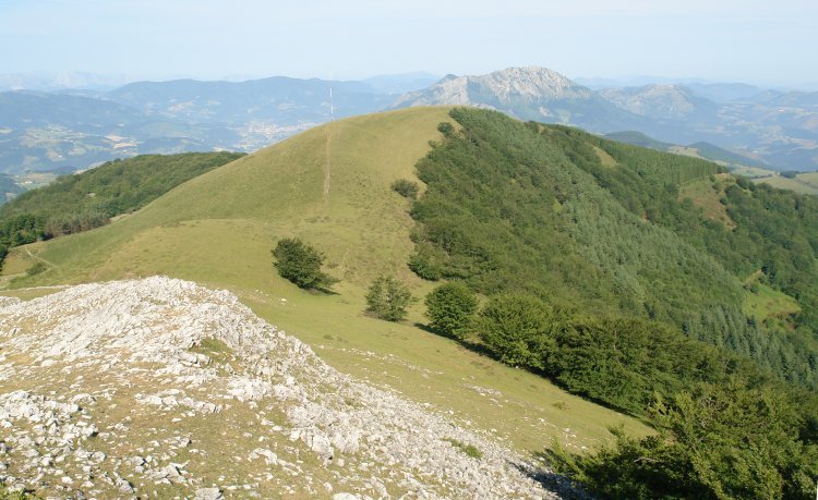 Mendibeltzeko bizkarra tontorretik