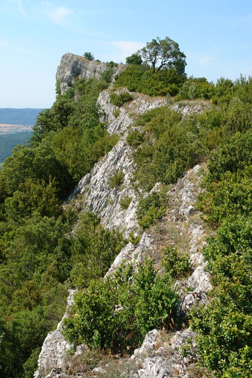 Tontorraren inguruko amildegiak